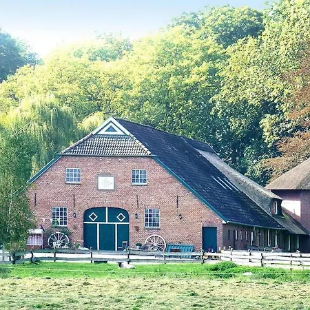 Markus, Suederschwei * Stadland