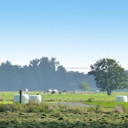 Markus, Suederschwei Stadland